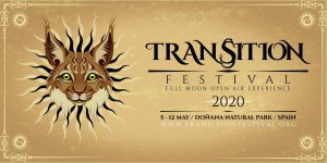 Transition Festival 2020